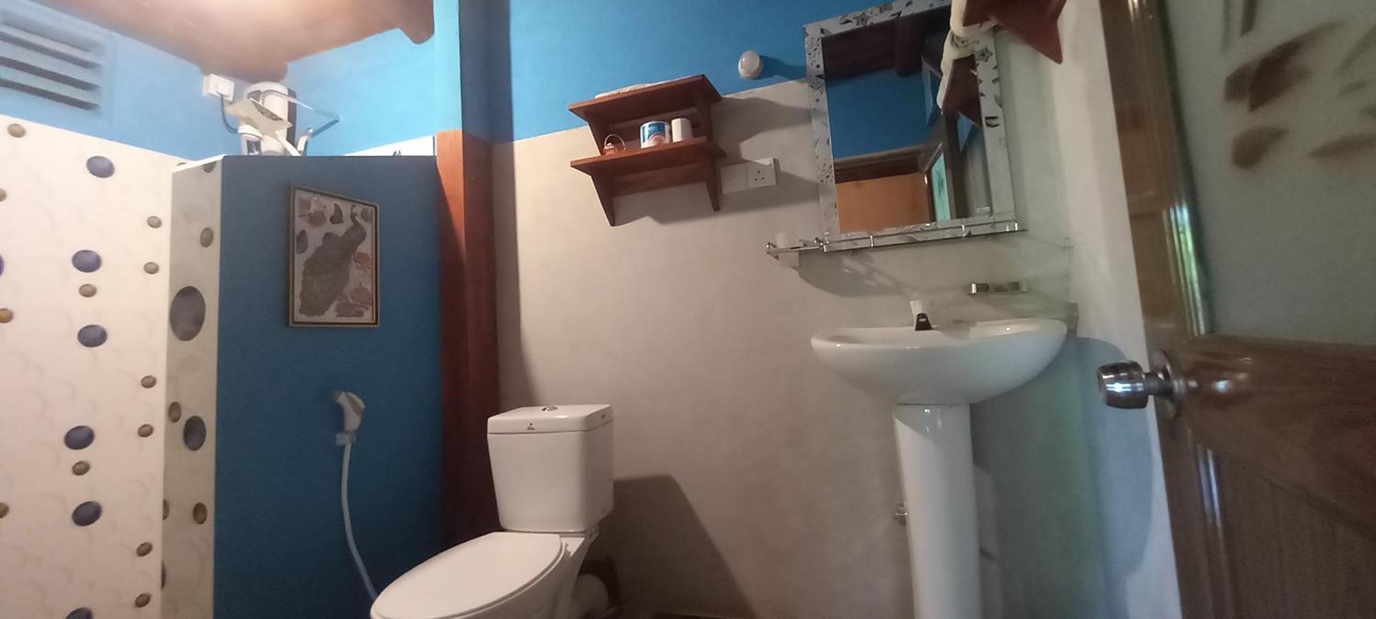 Sigiri Heritage Villa Szigirija Kültér fotó